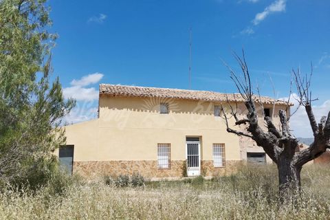 Landejendom i Yecla, Murcia, Yecla - € 65.000 | Ref: SF0314 - foto 3